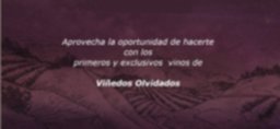 Viñedos Olvidados - Spanishflavors